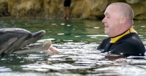 swim dolphin5 swim dolphin5