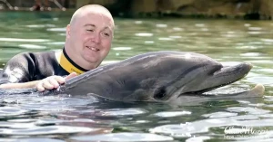 swim dolphin6 swim dolphin6