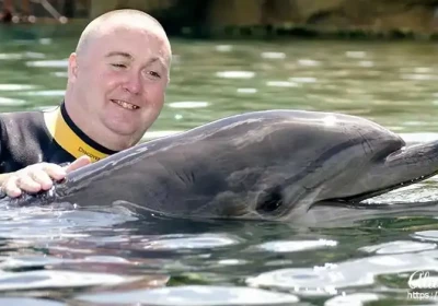 Swim With Dolphins Photos.