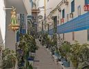 Narrow street inside the Casbah lined with lots of flower pots