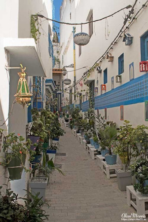 Narrow street inside the Casbah lined with lots of flower pots