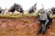Bronze sculpture showing North American Plains Bison at Tatanka.