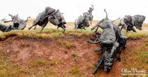 Bronze sculpture showing North American Plains Bison at Tatanka.