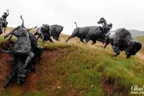tatanka2