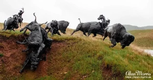 tatanka2