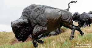 Bronze statue of an enormous Bison at Tatanka, The Story of the Bison.