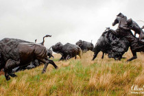 Bronze statue of Lakota Indians hunting Bison at Tatanka.
