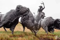 tatanka7