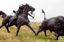 tatanka9