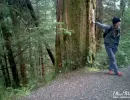 Tour guide in the Tongass National Forest.