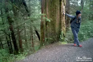 Tour guide in the Tongass National Forest.