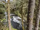 Stream running through Tongass National Forest, Alaska.