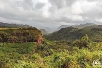 waimea