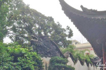Dragon on top of a wall in Yuyuan Gardens in Shanghai.