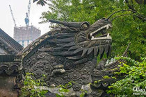 Dragon on the end of a wall in Yuyuan Gardens.
